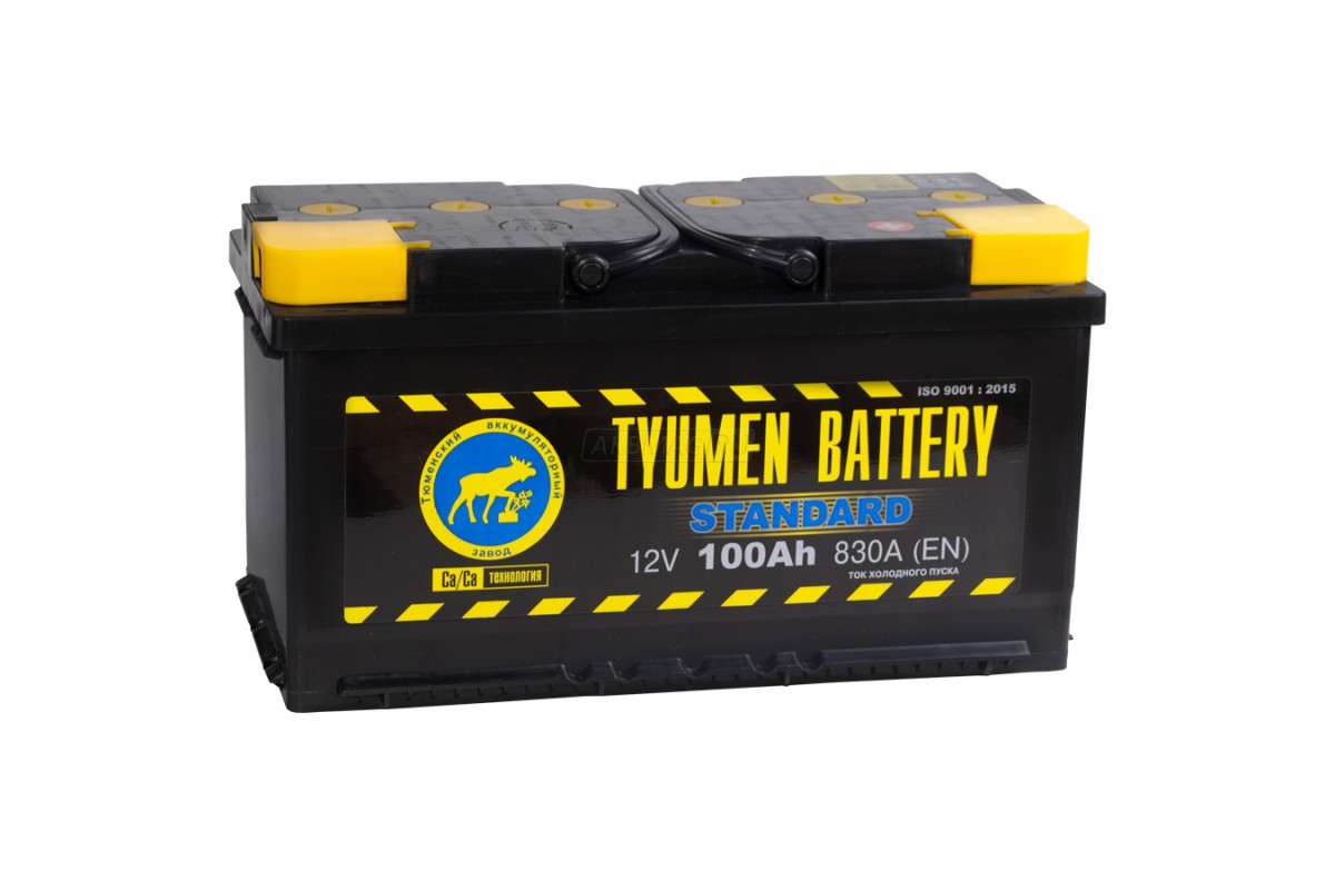 100 battery. 6ст-60lr Asia. Аккумулятор Tyumen Battery 6ст-100l Standard п.п.. АКБ Тюмень 100 а/ч. Tyumen Battery Standard 6ст-100 обр..