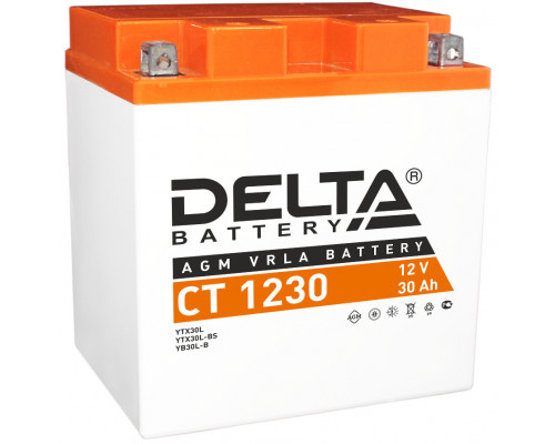 Аккумулятор DELTA Battery CT 1230 12V 30Ah