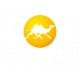 KAINAR
